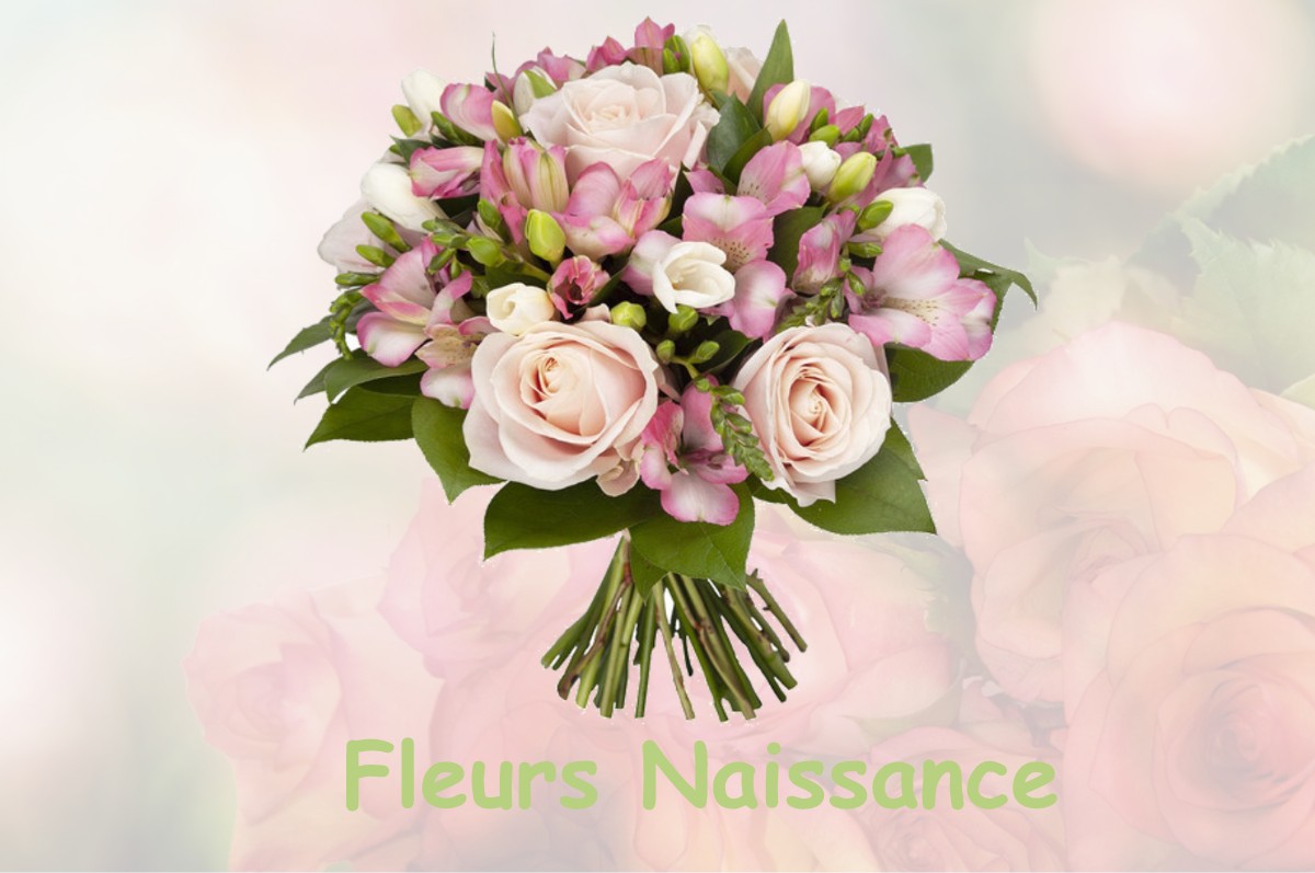 fleurs naissance RIEUCAZE