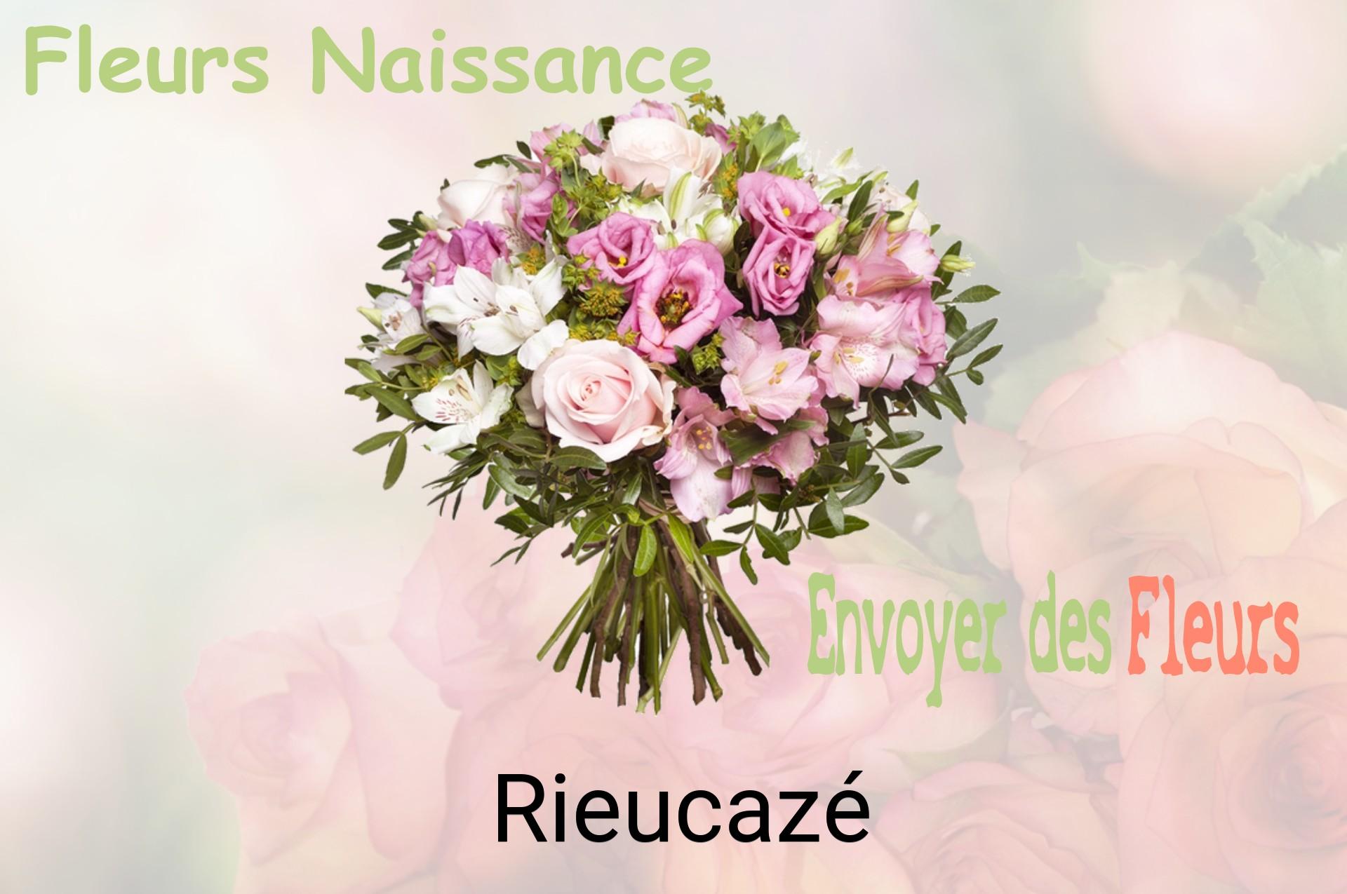 Bouquet de fleurs de naissance livré à Rieucazé