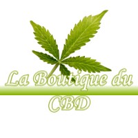 LA BOUTIQUE DU CBD RIEUCAZE 